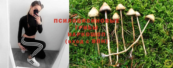 прущие крисы Сосновый Бор