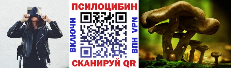 купить наркотик  Белово  Псилоцибиновые грибы мухоморы 